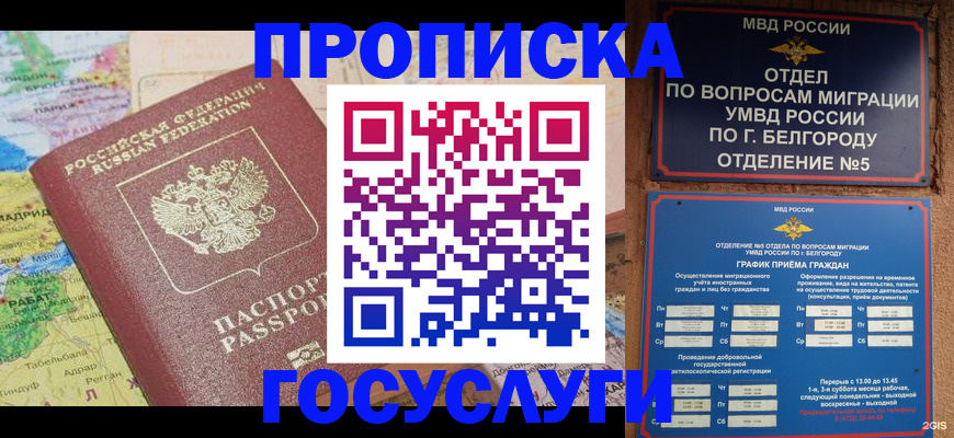 прописка регистрация в Шлиссельбурге